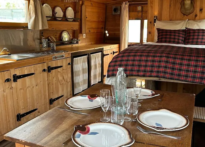 Toue Cabanée Romantique - Vue Maine Et Château - Centre Botel Angers