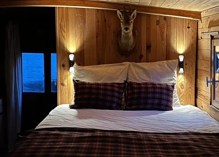 Toue Cabanée Romantique - Vue Maine Et Château - Centre *