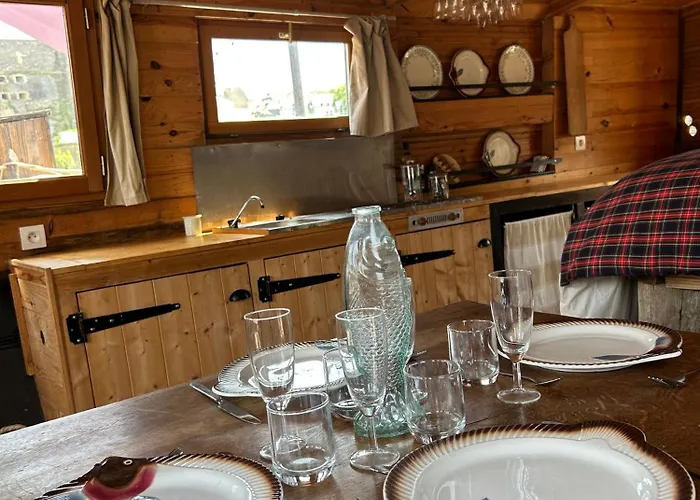 Toue Cabanée Romantique - Vue Maine Et Château - Centre Angers