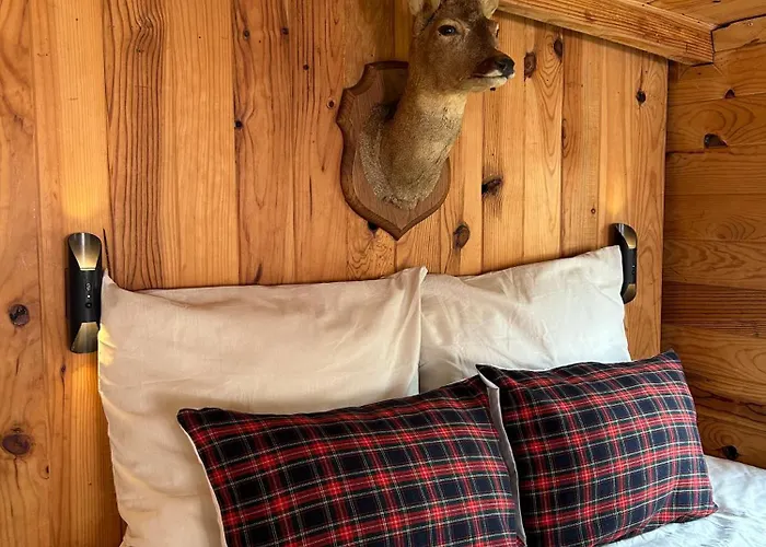 Toue Cabanée Romantique - Vue Maine Et Château - Centre Botel *