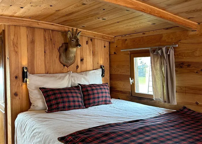 Toue Cabanée Romantique - Vue Maine Et Château - Centre Bateau-hôtel Angers